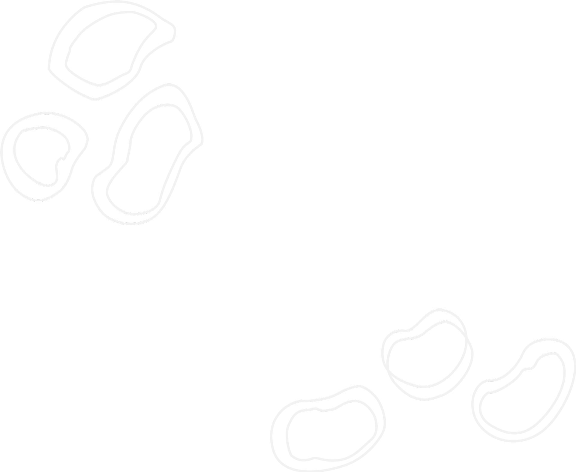 Image of Truffle